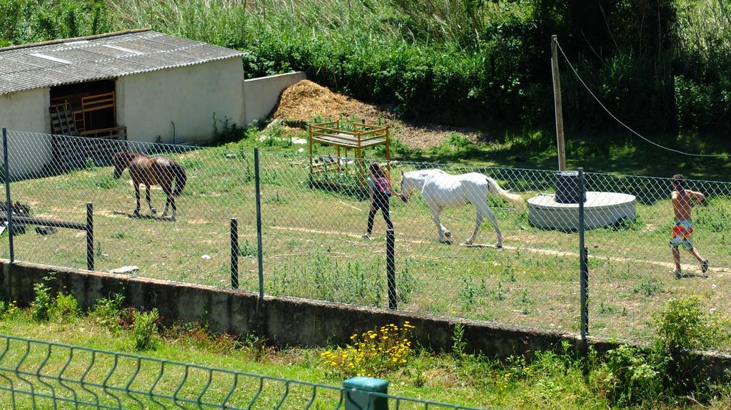 Quinta Do Forno Vendégház Maçeira Kültér fotó